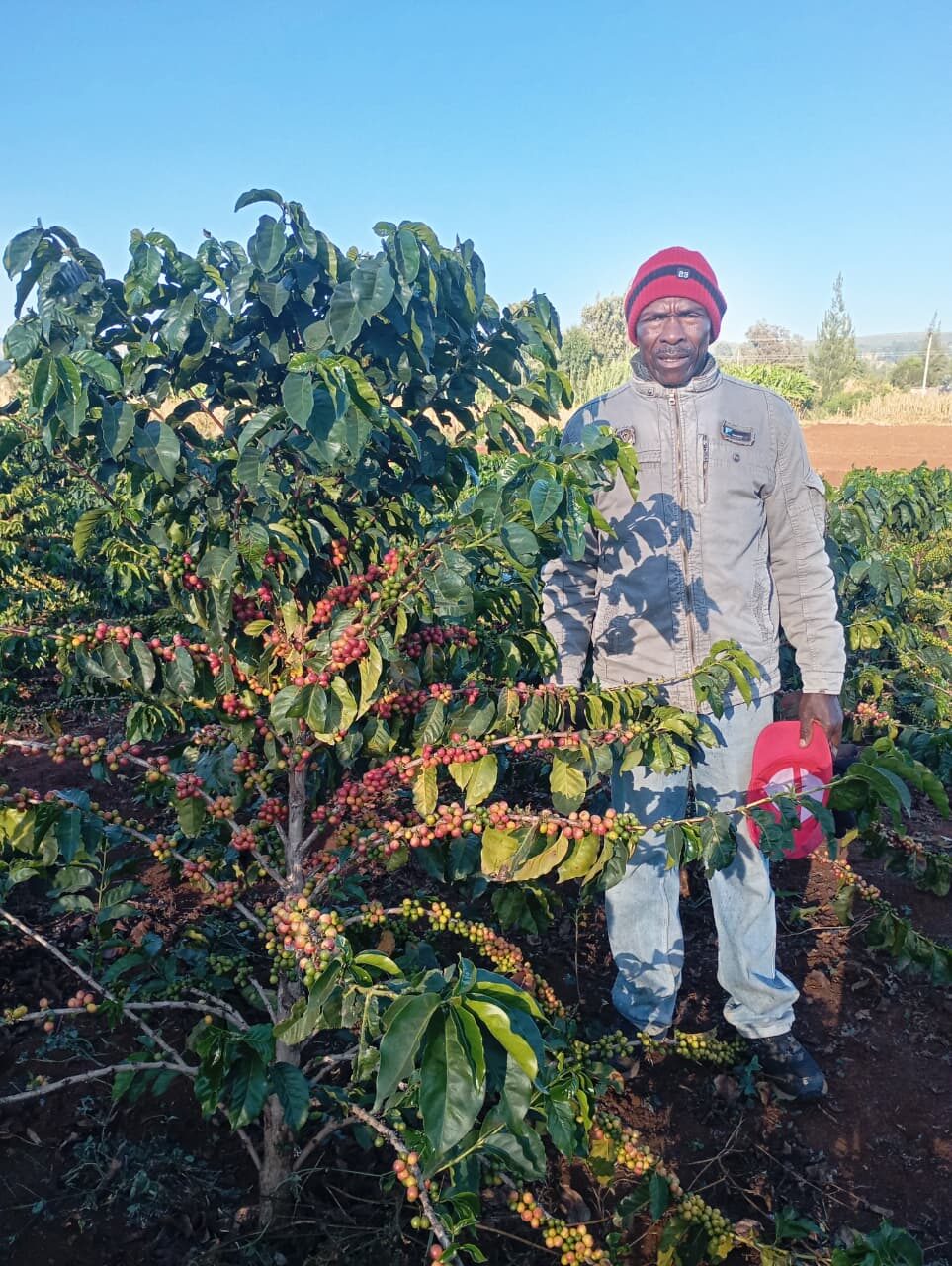 Jonathan Chomba, coffee farmer, on his plot in Subukia, during a GreenTrack field research visit